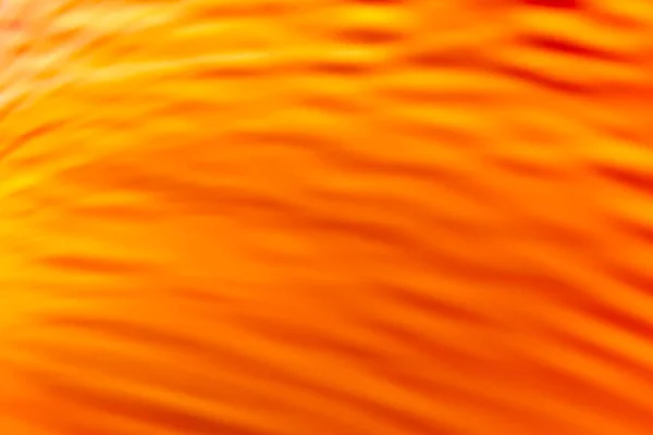 Yellow orange small waves with gradient. Abstraction. Backdrop