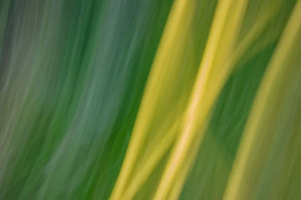 Schmutzige Dunkelgrüne Abstrakte Hintergrund Mit Gelben Diagonalen Linien Thema Ökologie — Stockfoto