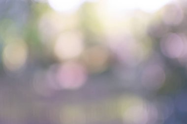 Mor yeşil sarı tonlarda Bokeh ile soyut bir arka plan. Sonbahar teması. Arkaplan