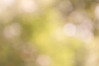Sonbahar yaprakları arasında Bokeh ve güneşin ışığı. Arkaplan