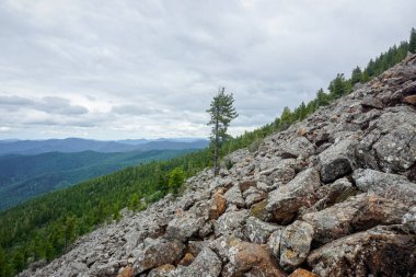 Sibirya Sayan Dağları 'nın olağanüstü doğası