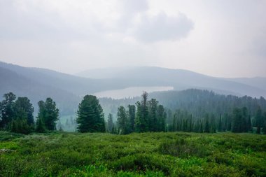 Ergaki Doğal Parkı 'nın güzel doğası. Sibirya 'daki Sayan dağlarına yürüyüş