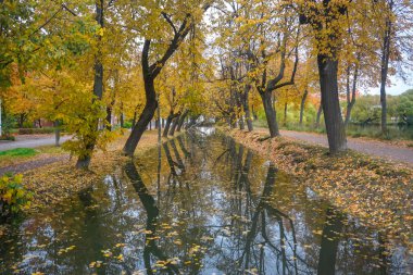 Sonbaharda Peterhof Sarayı 'nın parkında su kanalı