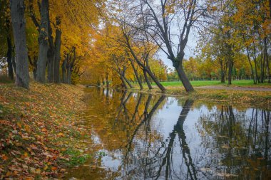 Sonbaharda Peterhof Sarayı 'nın parkında su kanalı