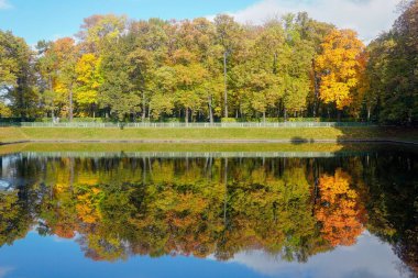 St Petersburg 'da gölün yansımasındaki güzel sonbahar ağaçları