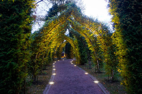 Осенний вечер с огнями в парке