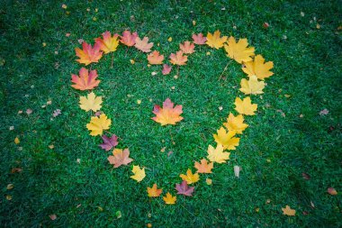 Sonbahar akçaağaç yapraklarından yapılmış yeşil çimlerde