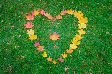 Sonbahar akçaağaç yapraklarından yapılmış yeşil çimlerde