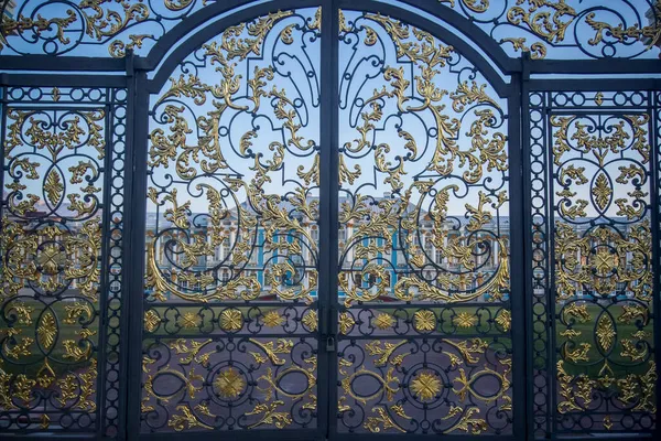 Ворота Екатерининского Дворца Санкт Петербурге Россия — стоковое фото
