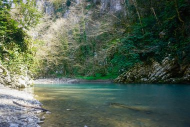 Geçitteki güzel dağ nehri