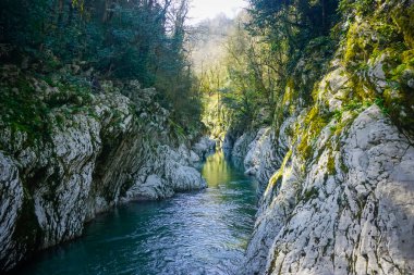 Geçitteki güzel dağ nehri