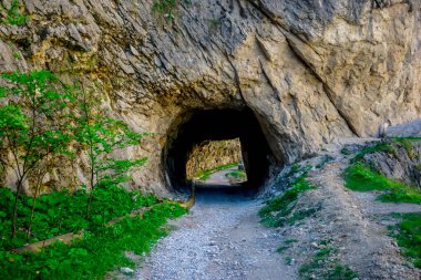 Kabardino Balkaria 'da Cherek katranı