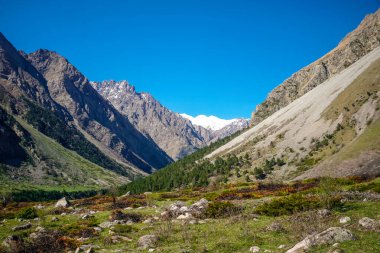 Kafkasların güzel kar tepeli dağları