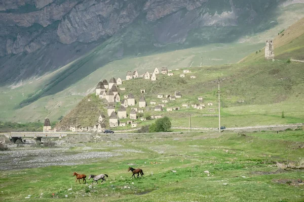 Dargavs Mezarlığı ya da Ölüler Şehri