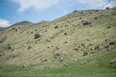 Dağın yeşil yamacında birçok taş var.