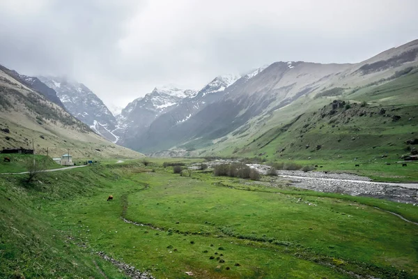 Красивая Мидаграбинская Долина Весной Северной Осетии — стоковое фото