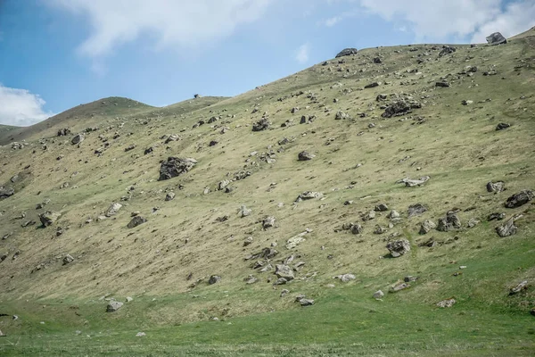 Dağın yeşil yamacında birçok taş var.