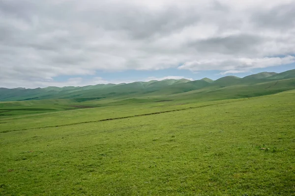 Green Meadows Caucasus Mountains Dagestan Republic Russia — Stock Photo, Image