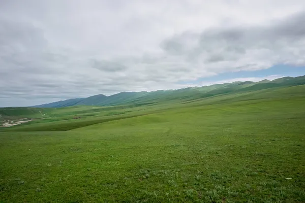 Green Meadows Caucasus Mountains Dagestan Republic Russia — Stock Photo, Image