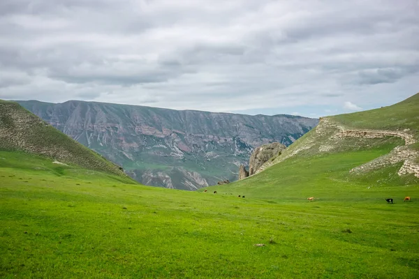 Grüne Wiesen Den Kaukasusbergen Der Republik Dagestan Russland — Stockfoto