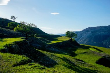 Dağıstan cumhuriyetinin dağlarındaki güzel yeşil vadi, Rusya