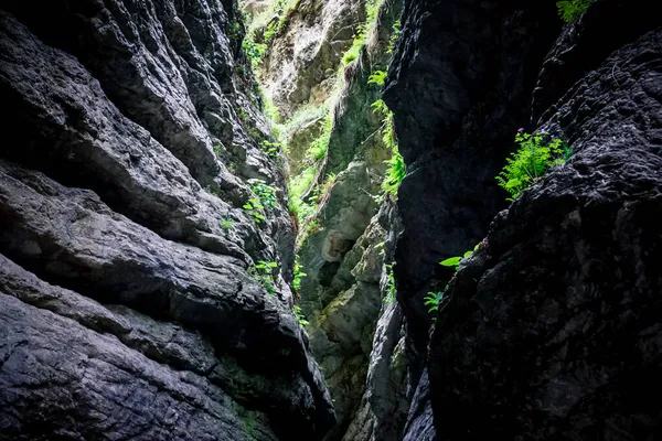 Gola Salta Fenomeno Naturale Unico Nel Daghestan — Foto Stock