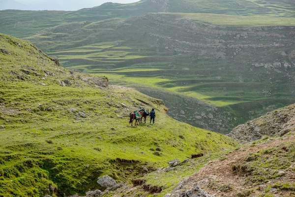 Seorang Pria Dengan Kuda Berjalan Melalui Pegunungan Dagestan — Stok Foto