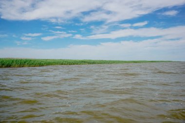 Hazar Denizi açıklarında uzun otlar.