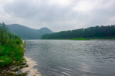 Yazın Krasnoyarsk Krai 'deki Mana Nehri, Sibirya, Rusya