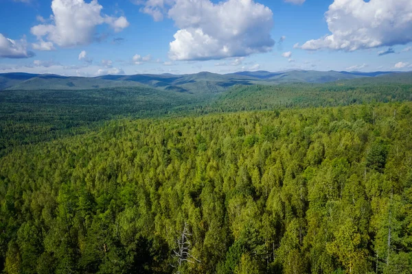 Prachtige Siberische Taiga Het Kuturchin Witte Bergen Van Het Krasnojarsk — Stockfoto