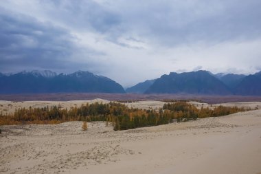 Chara Çölü 'nün güzel manzarası, dünyanın en kuzeyindeki çöl.