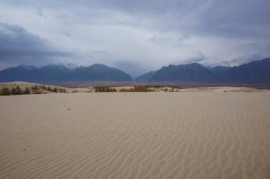 Chara Çölü 'nün güzel manzarası, dünyanın en kuzeyindeki çöl.