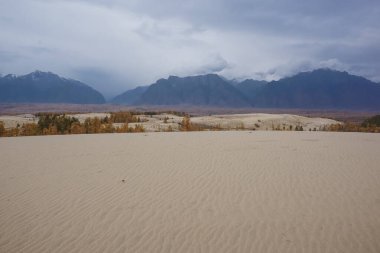Chara Çölü 'nün güzel manzarası, dünyanın en kuzeyindeki çöl.