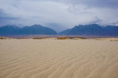 Chara Çölü 'nün güzel manzarası, dünyanın en kuzeyindeki çöl.