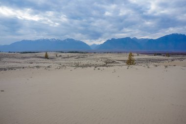 Chara Çölü 'nün güzel manzarası, dünyanın en kuzeyindeki çöl.
