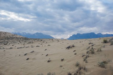 Chara Çölü 'nün güzel manzarası, dünyanın en kuzeyindeki çöl.