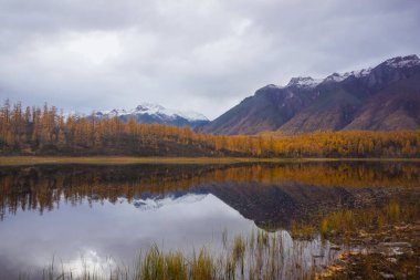 Tayga 'daki dağ gölü ve Trans Baykal bölgesindeki Kodar tepesi.