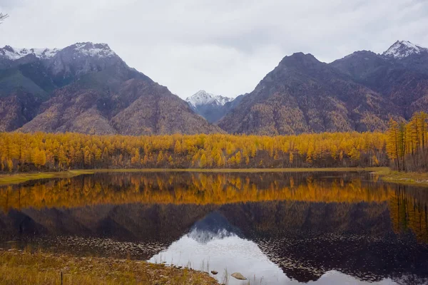 Гірське Озеро Тайзі Хребті Кодар Території Транс Байкалу — стокове фото
