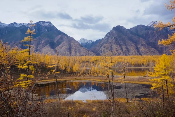 Mountain Lake Taiga Kodar Ridge Trans Baikal Territory — 图库照片