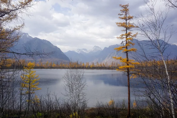 Lago Montaña Taiga Cresta Kodar Territorio Trans Baikal —  Fotos de Stock