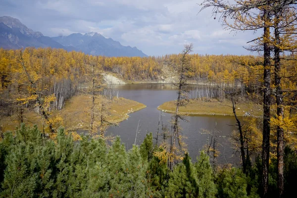 Ορεινή Λίμνη Στην Κορυφογραμμή Taiga Και Kodar Στην Περιοχή Trans — Φωτογραφία Αρχείου