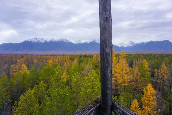 秋天在俄罗斯跨贝加尔湖地区的泰加 — 图库照片