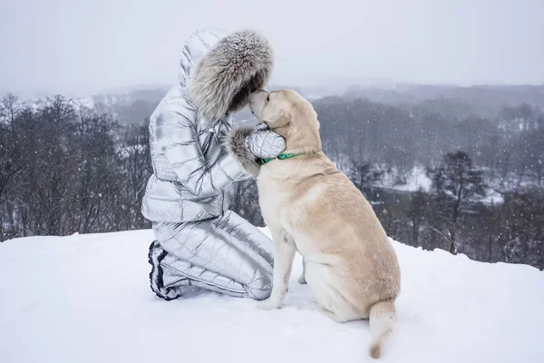 Kışın Karda Beyaz Köpekli Bir Kız — Stok fotoğraf
