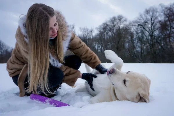 冬に雪の中に白い犬を持つ女の子 — ストック写真