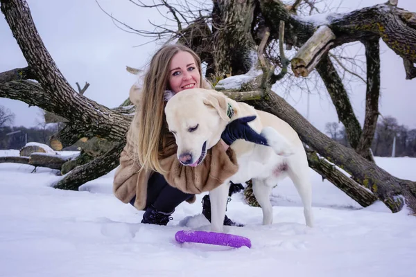 Kışın Karda Beyaz Köpekli Bir Kız — Stok fotoğraf