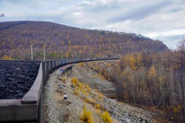 Baykal-Amur Anayolu boyunca kömür taşıyan bir yük treniyle seyahat ediyor.