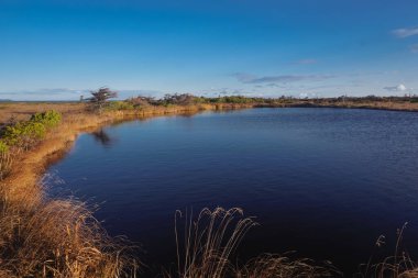 Rusya 'daki Sakhalin Adası' nın derinliklerindeki vahşi göl.
