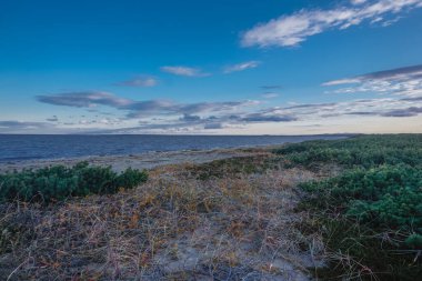 Sakhalin Adası kıyıları Kuzey 'in vahşi kesiminde