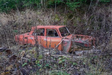 Sakhalin adasındaki ormanda terk edilmiş kırmızı bir araba.