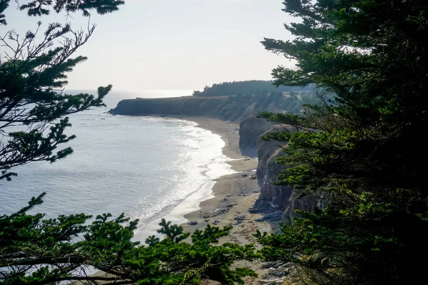 Hermosa Costa Rocosa Parte Oriental Isla Sakhalin —  Fotos de Stock